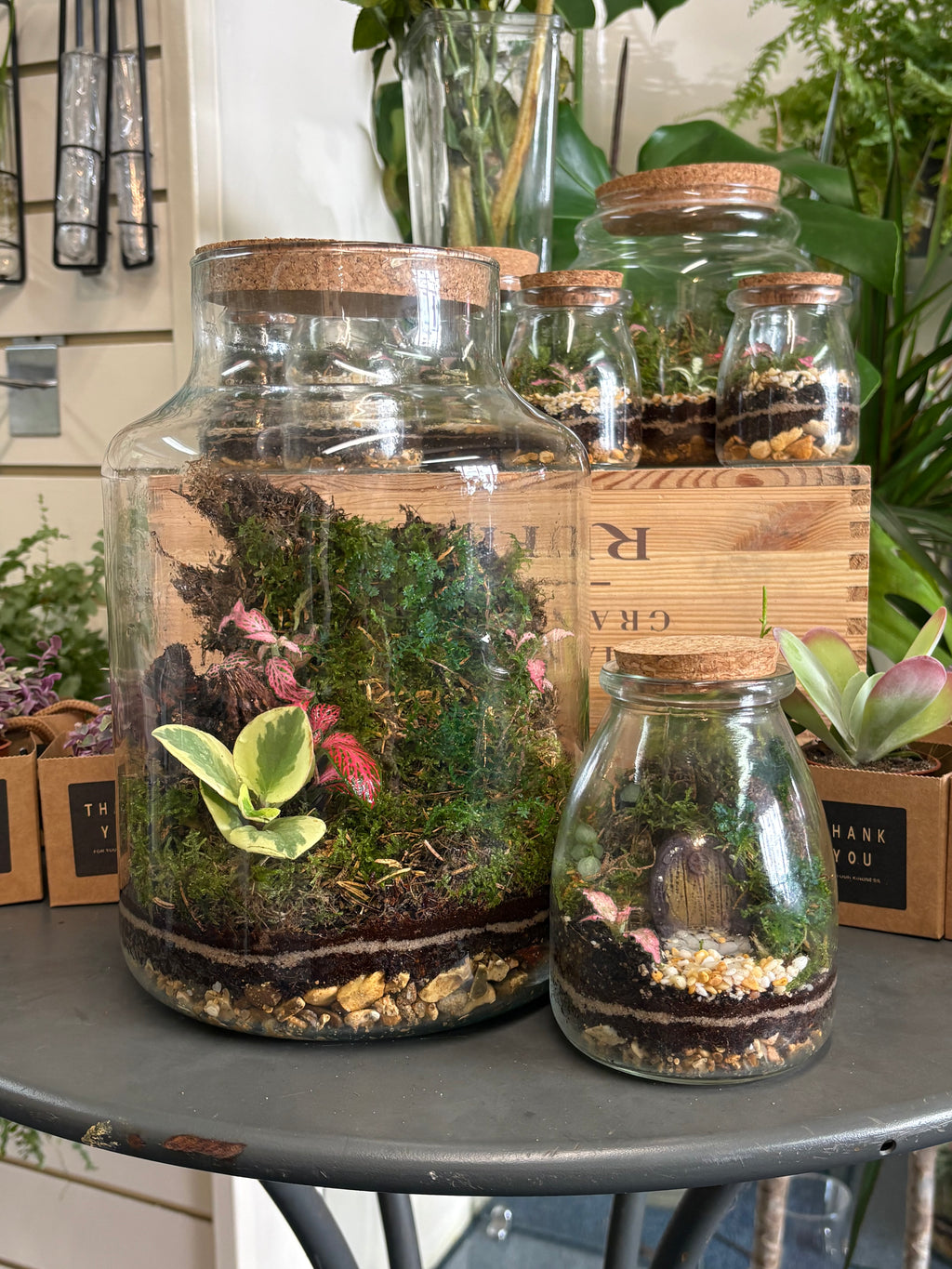 Terrarium workshop 21/8/26