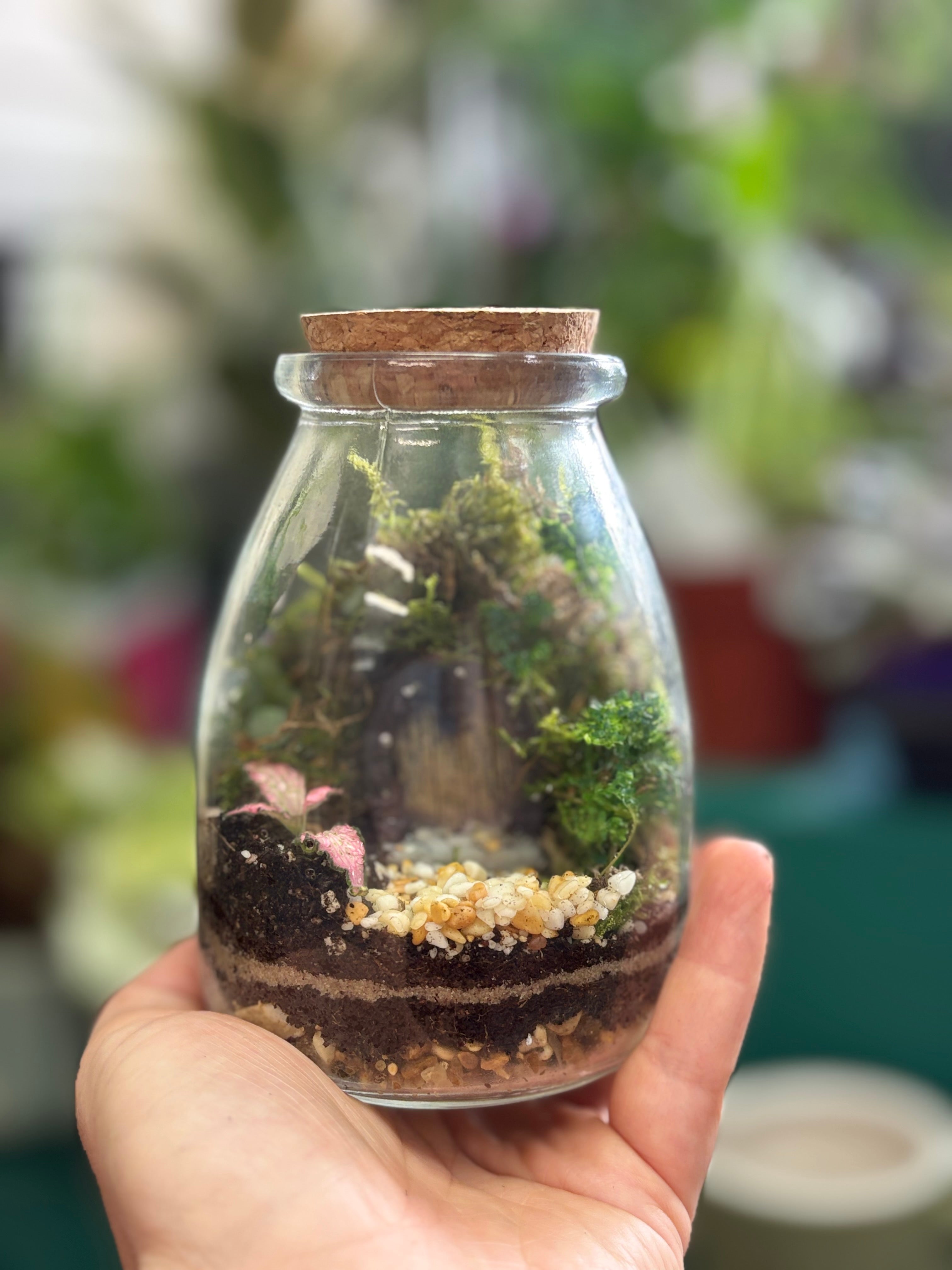 Kids mini workshop Tue 28/07 9am to 10am