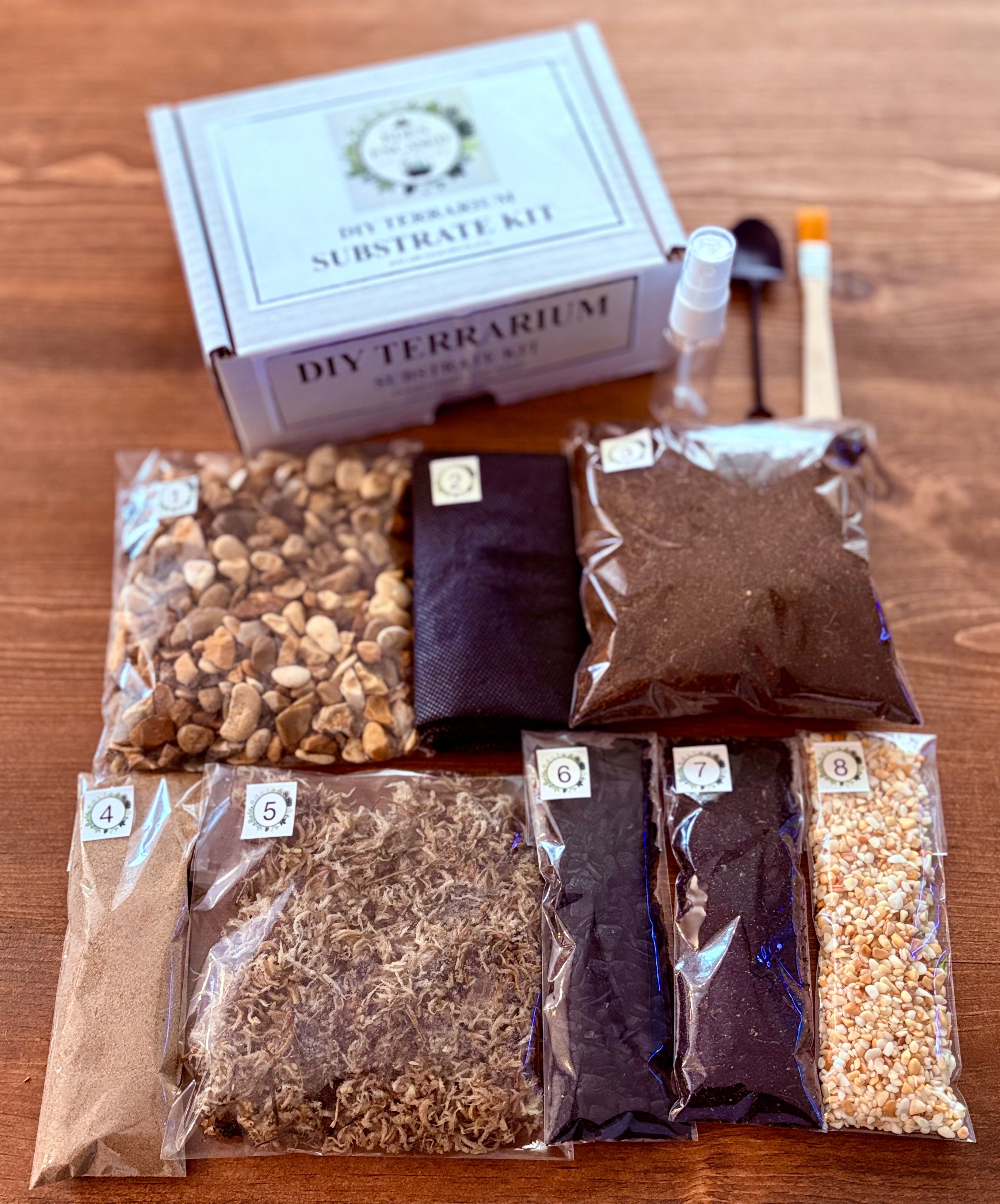 DIY Terrarium Starter Kit  Build Your Own Mini Ecosystem