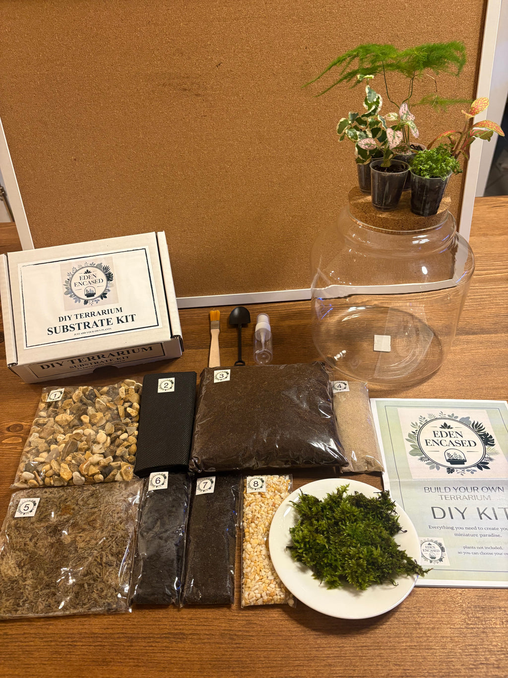 DIY terrarium kit with plants substrate and jar