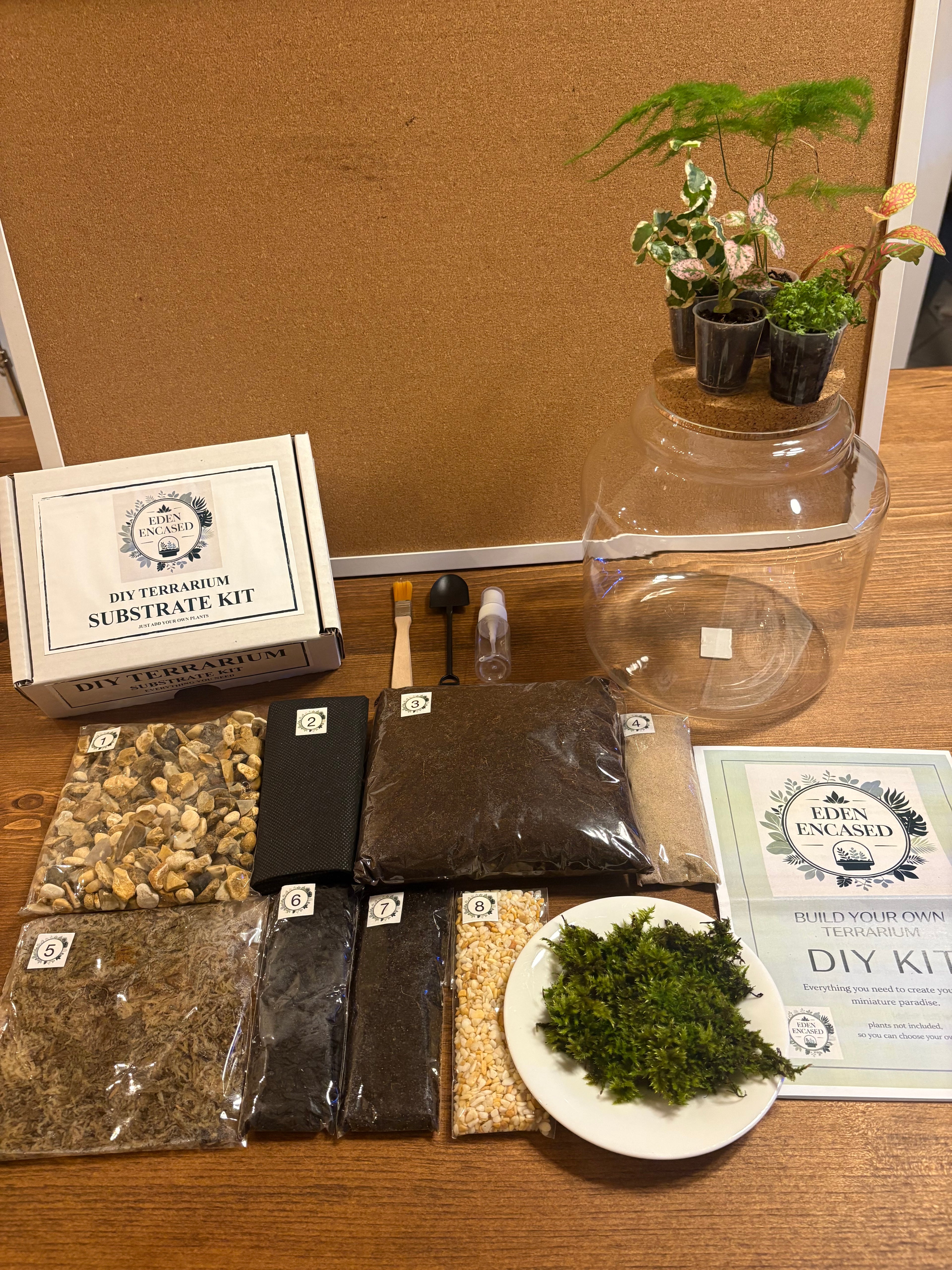 DIY terrarium kit with plants substrate and jar