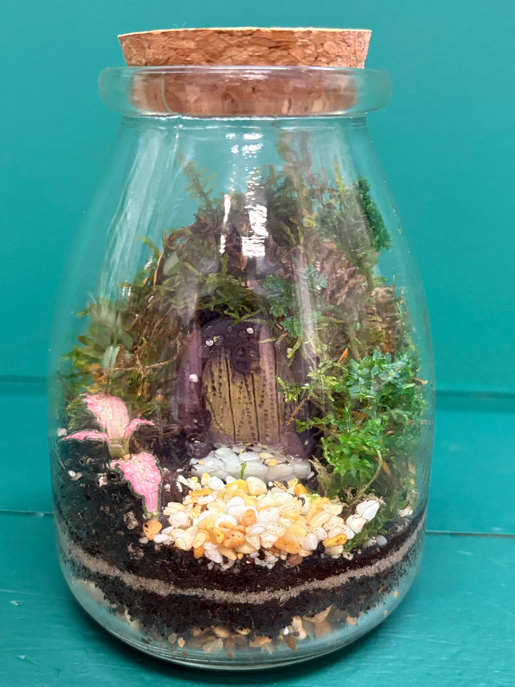 Kids mini workshop Thurs 30/07 9am to 10am
