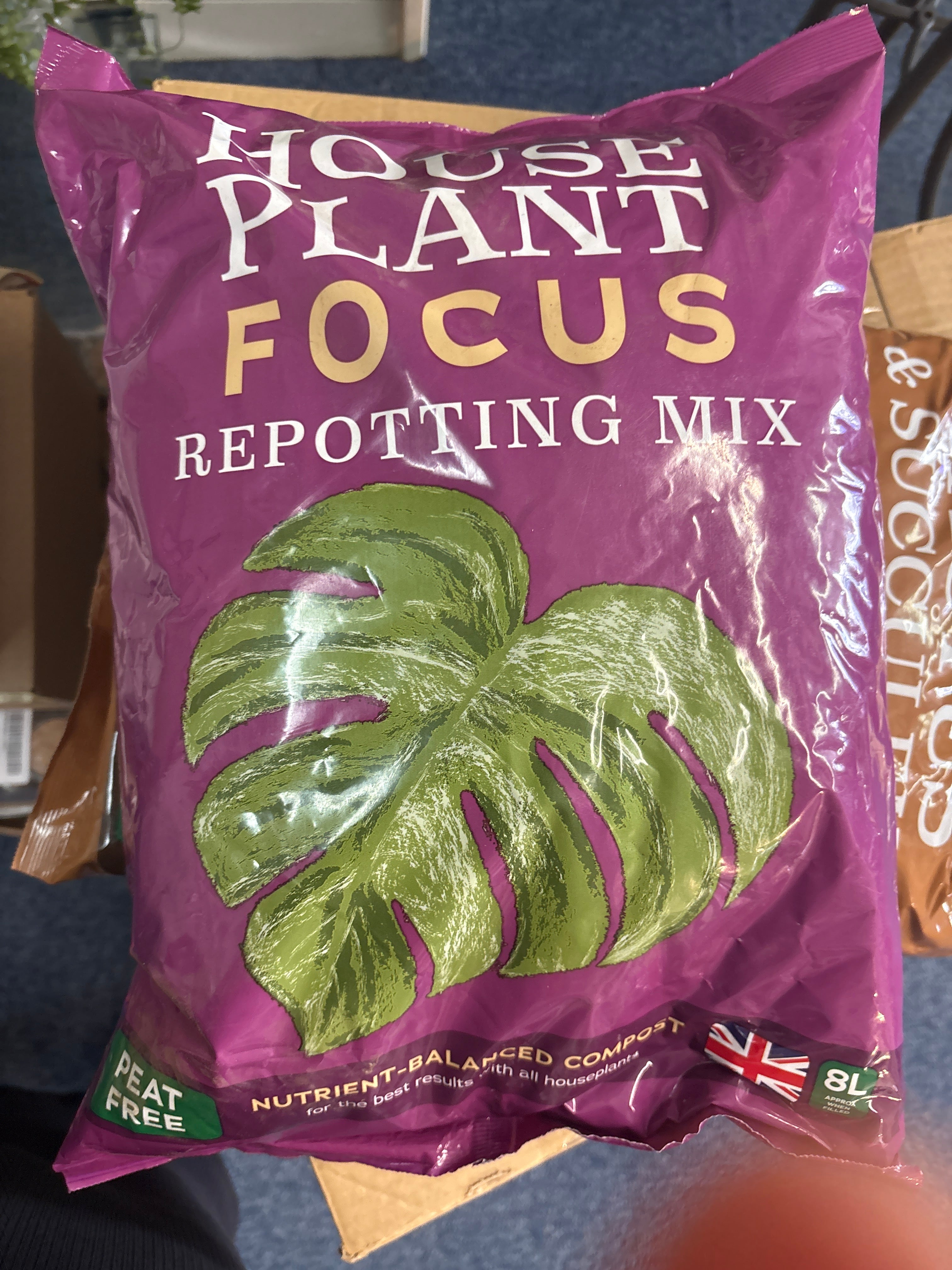 House plant focus repotting mix