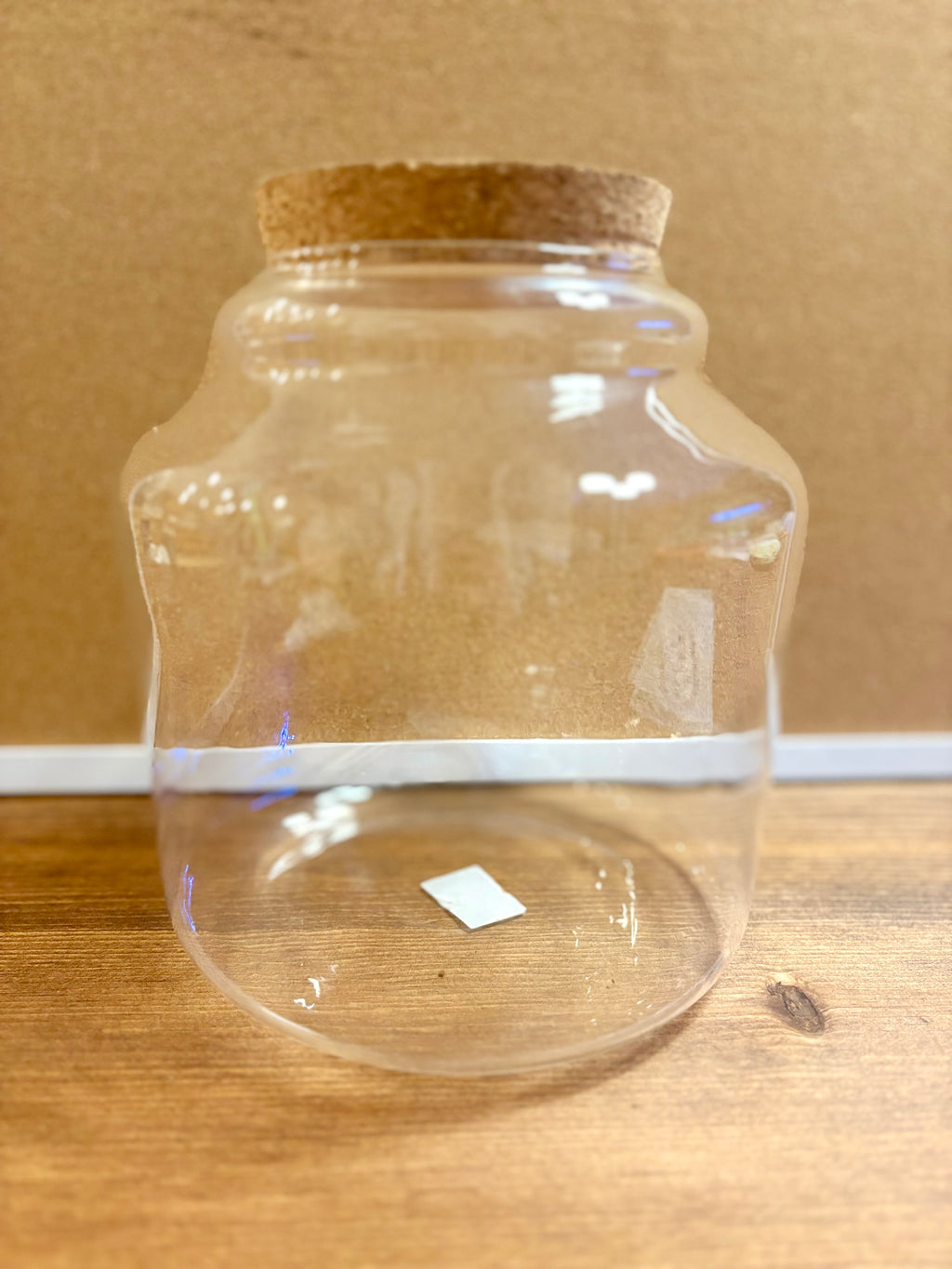DIY terrarium kit with plants substrate and jar