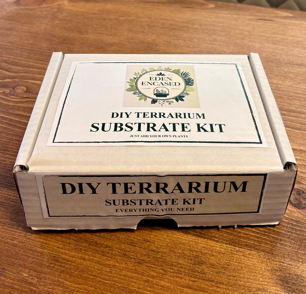 DIY Terrarium Starter Kit  Build Your Own Mini Ecosystem