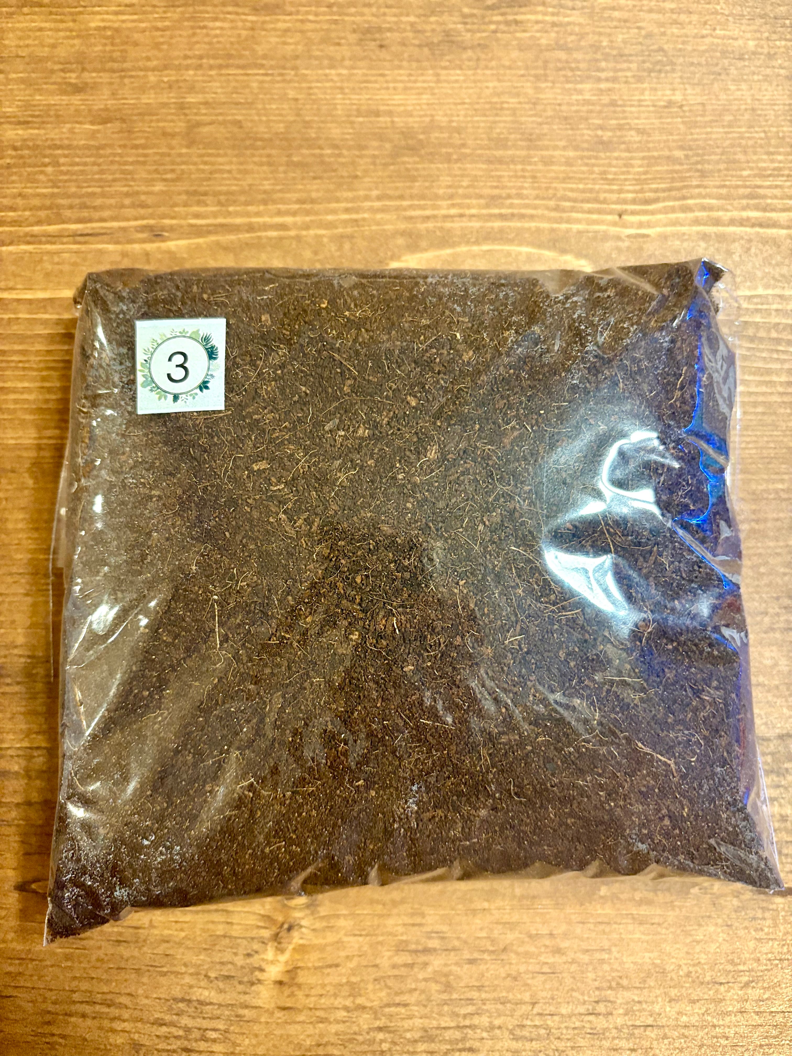 DIY terrarium kit with plants substrate and jar
