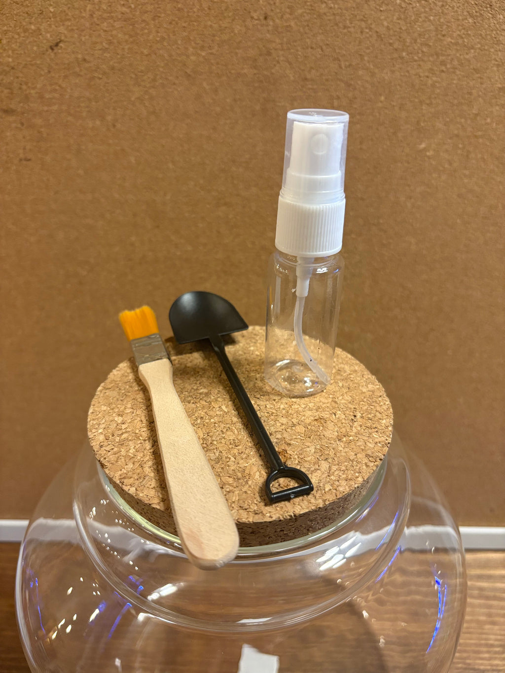 DIY terrarium kit with plants substrate and jar