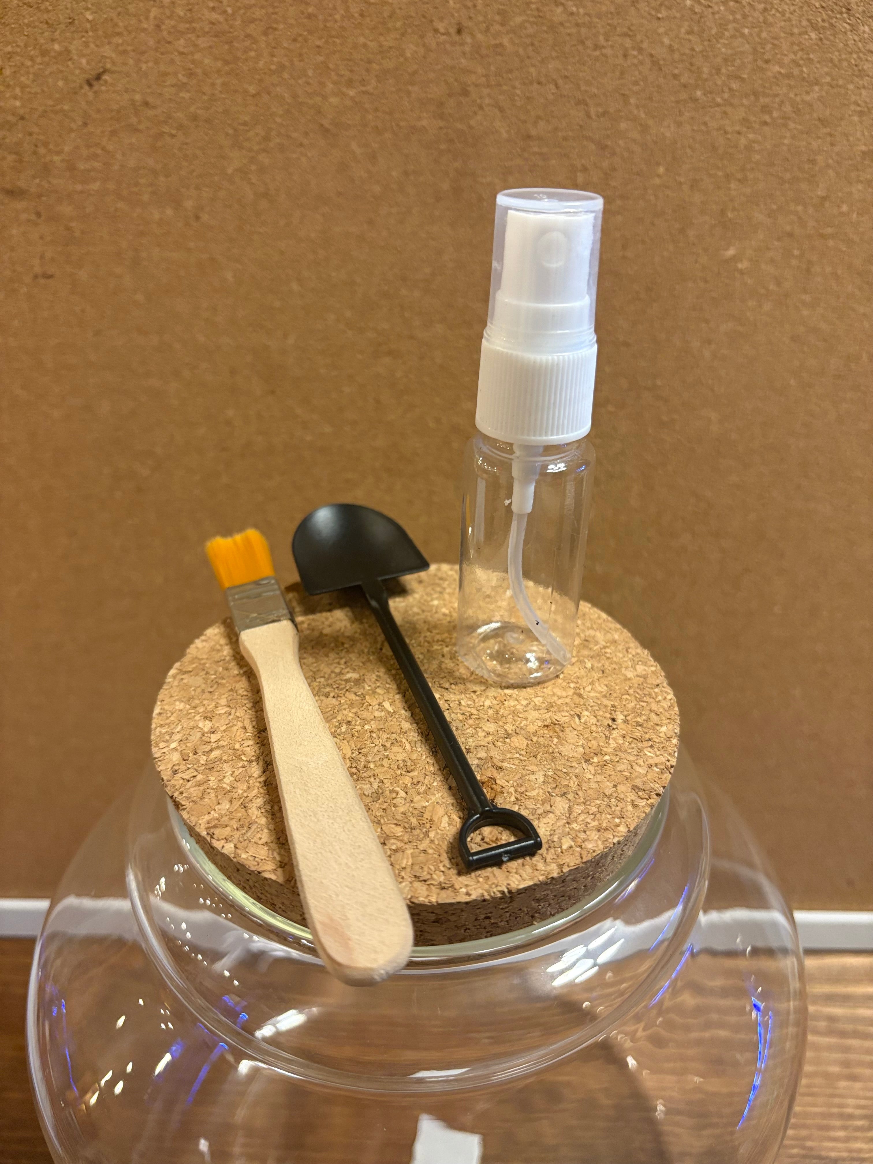 DIY terrarium kit with plants substrate and jar