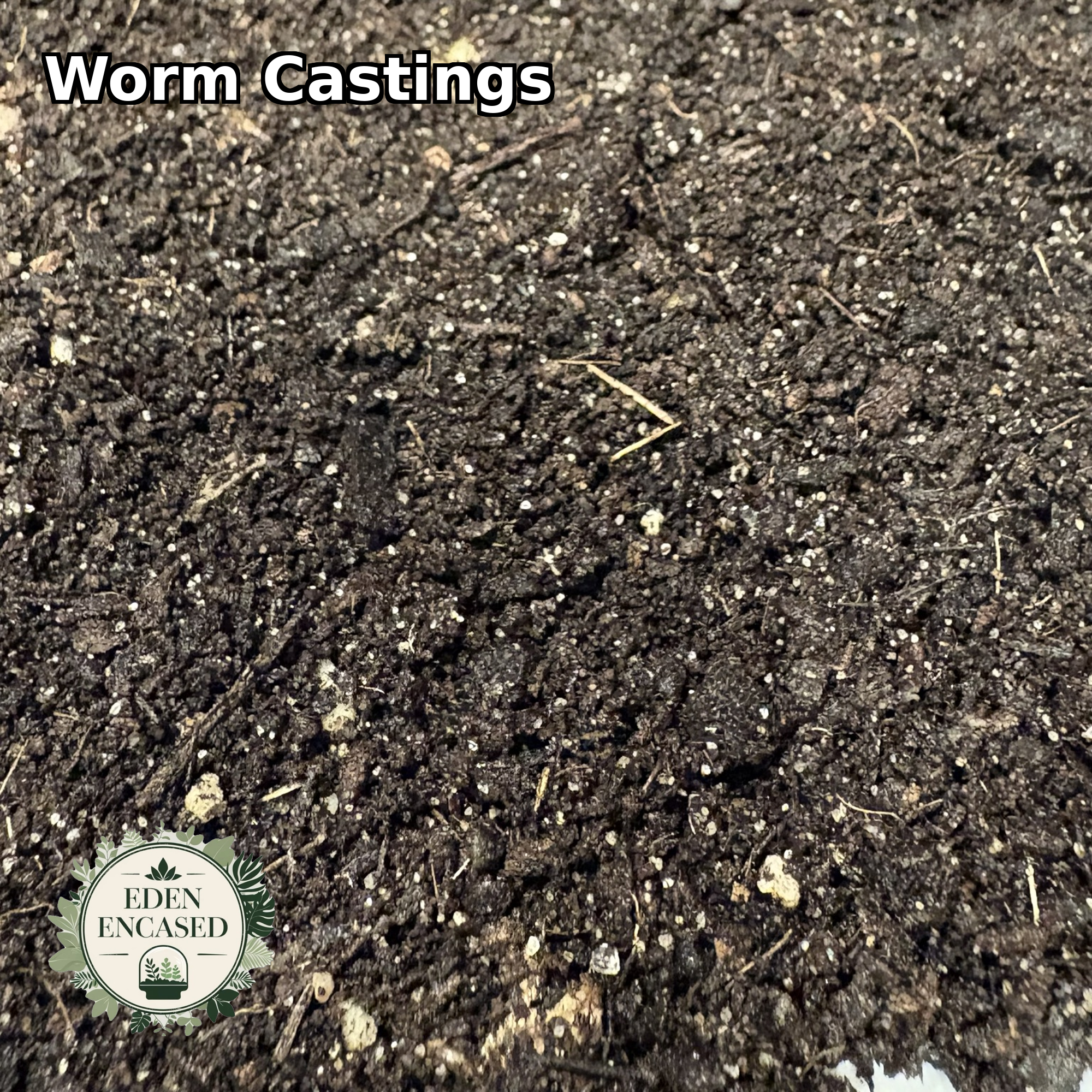 Worm Castings | Organic Plant Food | Terrariums & Houseplants