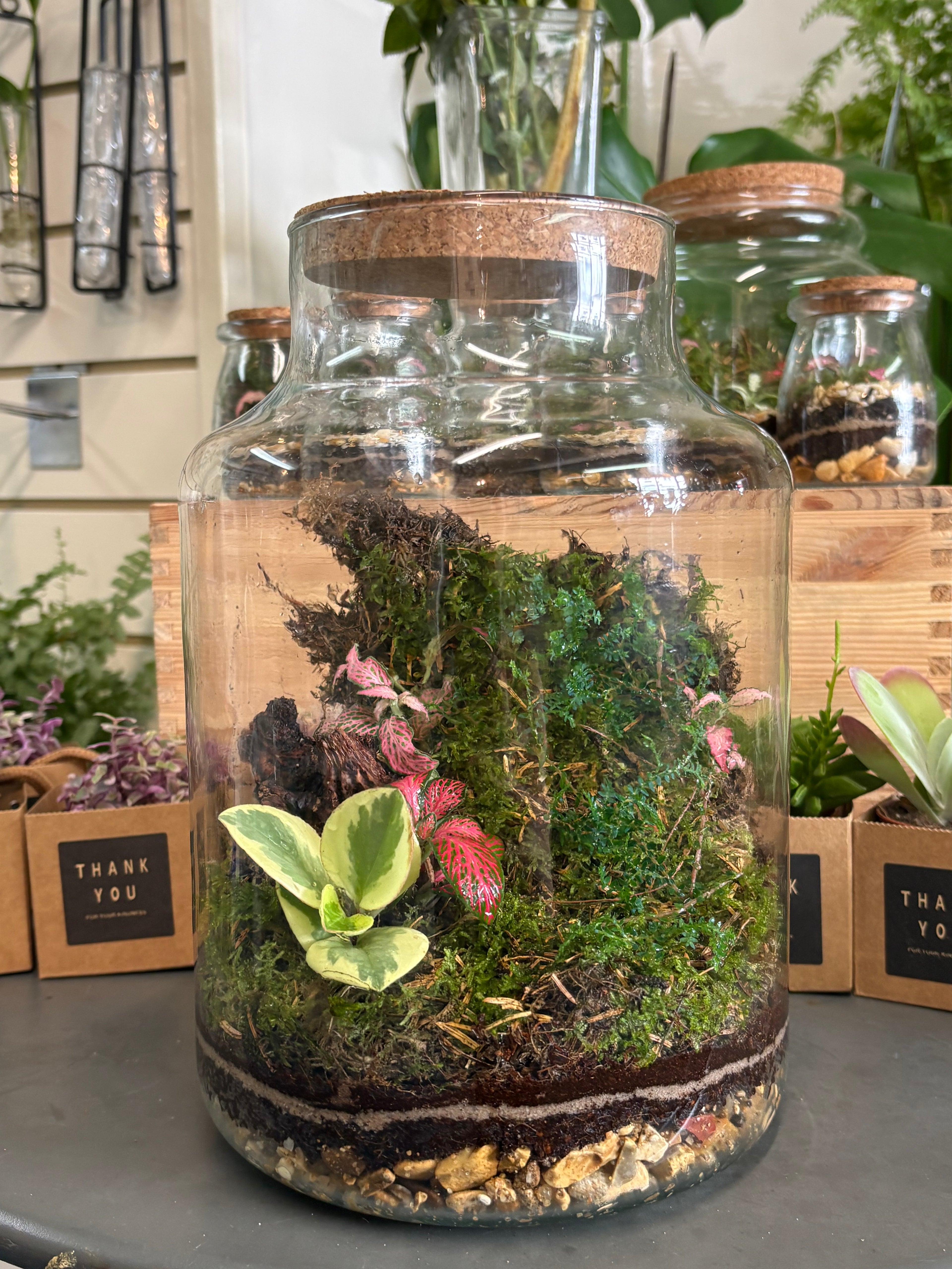 Terrarium workshop 21/8/26